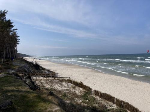 Plaża - Okolice