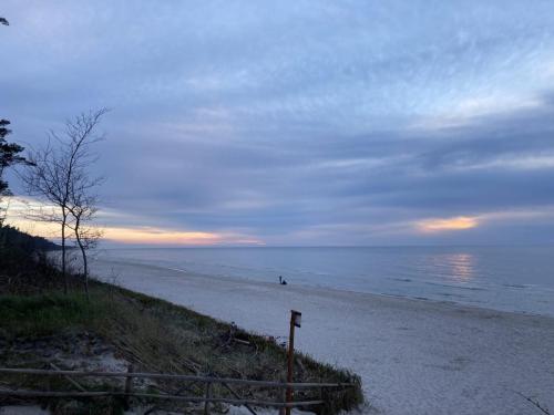 Plaża - Okolice