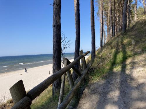 Plaża - Okolice