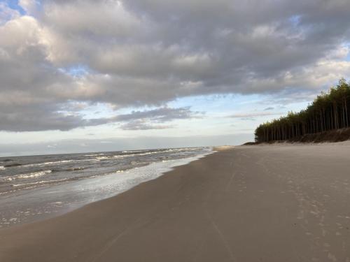 Plaża - Okolice